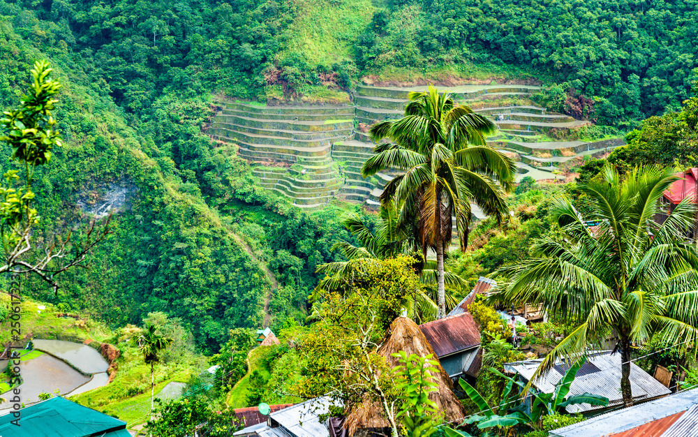 Wall mural Batad Rice Terraces, UNESCO world heritage in the Philippines