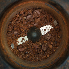 Close up coffee beans in coffee grinder.