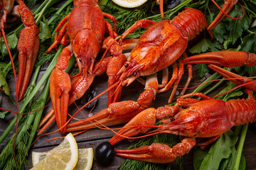 Crayfish. Red boiled crawfishes on table in rustic style, closeup. Lobster closeup.