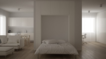 Fototapeta na wymiar Small apartment, one-room with parquet floor, home workplace with desk in white living room, Murphy bed, office in minimalist style, modern architecture interior design concept