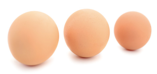 Three chicken eggs.