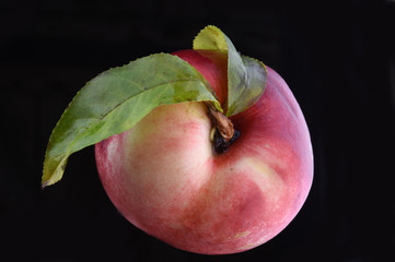 nectarine
