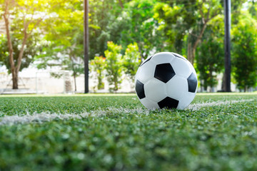 soccer Football on soccer field , football field , background texture