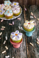 Cupcakes decorated with butter cream and marshmallow flowers
