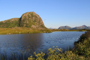 gimsøy, lofoten