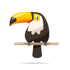 Cartoon toucan vector isolated illustration - obrazy, fototapety, plakaty