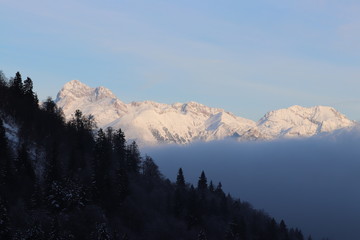 trees behind mount Triglav