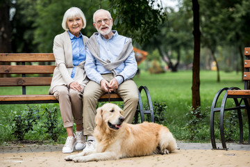smiling senior couple sitting on wooden bench and cute dog lying nearby