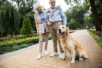 happy senior couple with adorable dog in park