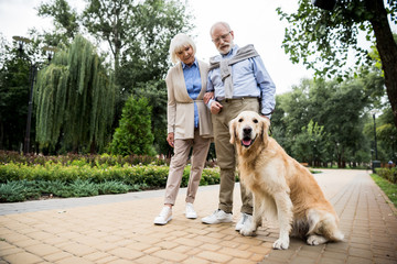 happy senior couple with golden retriever dog in park