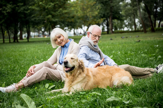 happy senior couple with adorable golden retriever dog sitting on green lawn