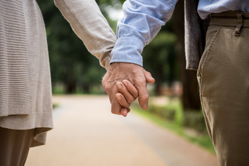 cropped view of senior couple holding hands while walking in park