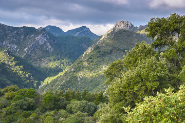 Naklejka premium Sierra Blanca. Estrivaciones con el Parque Nacional de Sierra de las Nieves, Málaga. España
