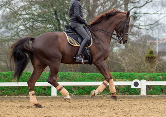 Horseback riding, lovely equestrian