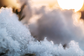 Melting Snow Spring Bokeh Background