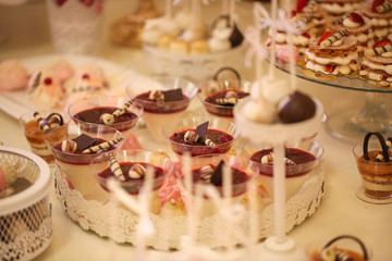 Delicious candy bar with macarons, cupcakes, cake pop and other sweets