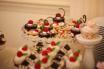 Delicious candy bar with macarons, cupcakes, cake pop and other sweets