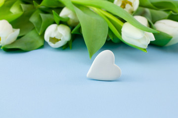Fototapeta na wymiar White flowers on blue background. Valentine's Day background with bouquet of tulips and stone in the form of heart or abstract love concept
