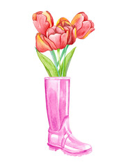 Colorful tulips, isolated on white background. Card for Mothers day, 8 March, wedding. Watercolor painting. 