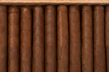 expensive cigars in a wooden box. background and texture of Cuban cigars. the view from the top
