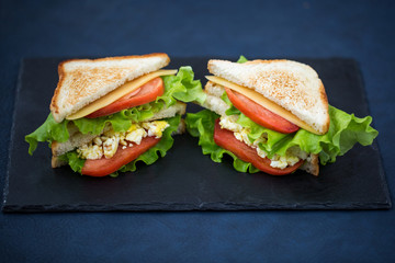 Delicious sandwiches: scramble egg, tomatoes and cheese. Light and healthy snack.