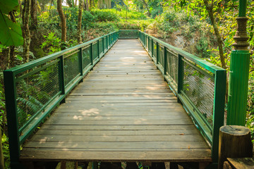 Fototapeta na wymiar Wooden and steel bridge in between trekking trail in the tropical forest.