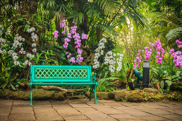 Decorative bright blue bench on concrete brick floor with beautiful orchid flowers and green garden background. Peaceful garden decorated with bench, orchid, fern, stone and palm tree background.