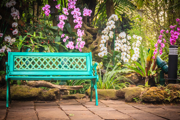 Fototapeta na wymiar Decorative bright blue bench on concrete brick floor with beautiful orchid flowers and green garden background. Peaceful garden decorated with bench, orchid, fern, stone and palm tree background.