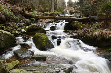 Die Ilse im Harz