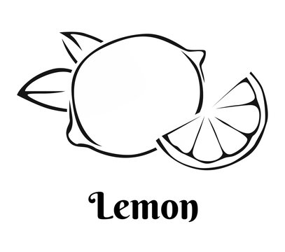 Lemon icon isolated on white background. Vector food illustration in simple style. Black and white image.