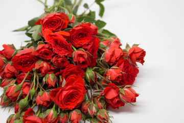 Bouquet of red roses isolated on white background