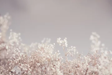 Blumenmuster-Design. Dekor aus trockenem Gras. Kopieren Sie Platz auf beigefarbenem Hintergrund. © golubovy