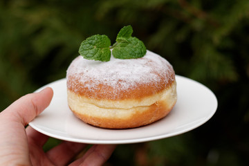 Doughnut - Krapfen - Berliner in a white plate, close-up