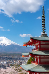 Fototapeta premium Mount Fuji viewed from behind Chureito Pagoda in full bloom cherry blossoms springtime sunny day in clear blue sky natural background. Arakurayama Sengen Park, Fujiyoshida, Yamanashi Prefecture, Japan