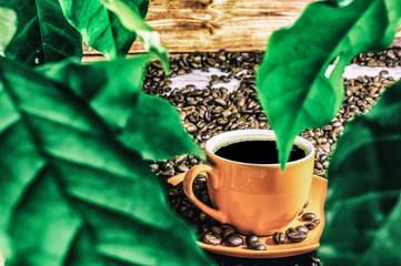 A view of a cup of coffee over green leaves of a coffee plant. White cup on coffee beans. Side view.	