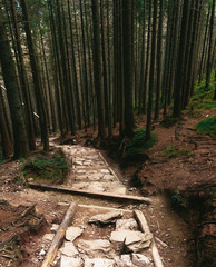 Stone trail in the Tatras national park