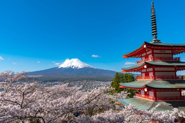 Mount Fuji viewed from behind Chureito Pagoda in full bloom cherry blossoms springtime sunny day in clear blue sky natural background. Arakurayama Sengen Park, Fujiyoshida, Yamanashi Prefecture, Japan