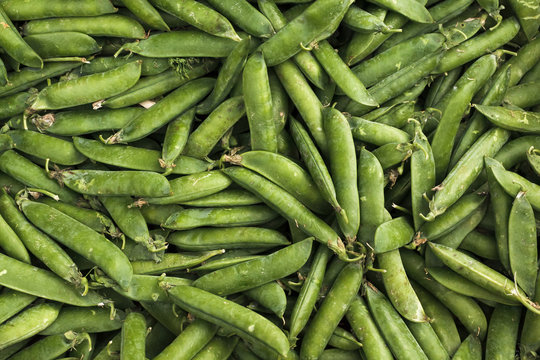 Green Beans on Market