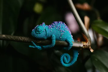 Fototapeten crochet blue chameleon © bapawka