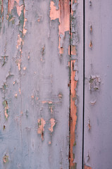 Weathered wood. Cracked paint on a wooden wall. Grunge background. Weathered wood light blue and green
