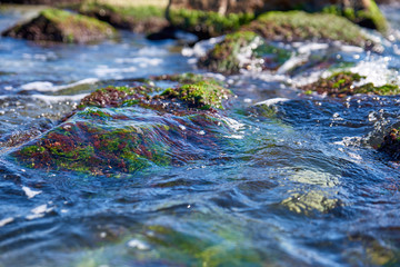 surface of sea water, under water algae and stones