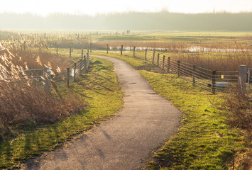 Fototapeta na wymiar Footpath in the Dutch countryside at sunrise.