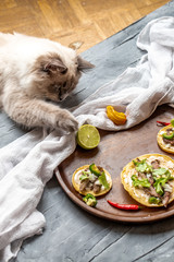 Katze und Essen verfressen