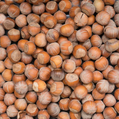 hazelnut nuts