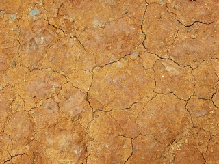 Texture of dry cracked earth.
