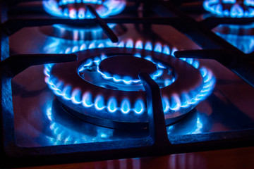 The gas burns in the burner of a kitchen stove 