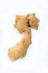ginger on a white background