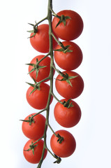 tomato bunch 