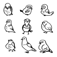 Collection of hand drawn birds on white background