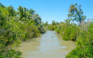 Camargue in France